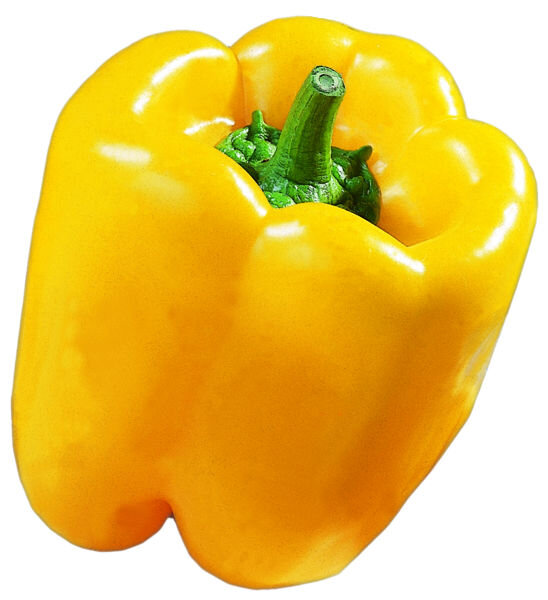 Gelber Paprika Blocky Yellow F1