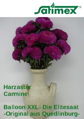 Balloon Harzaster XXL Carmine