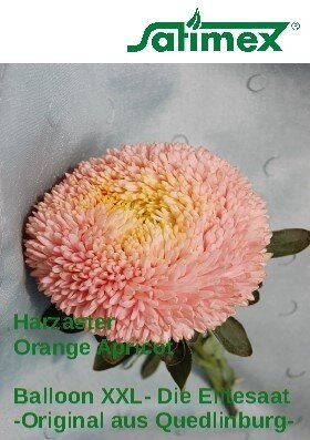 Balloon Harzaster XXL Orange-Apricot