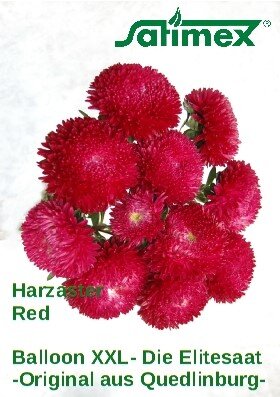 Balloon Harzaster XXL Red