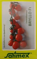Cocktailtomate Bryllo F1
